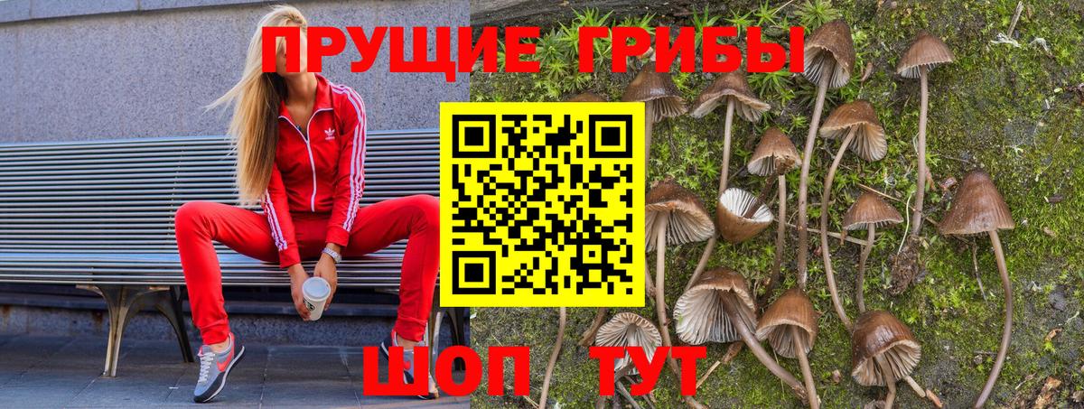 Галлюциногенные грибы ЛСД  даркнет сайт  Шелехов  Вход с VPN 